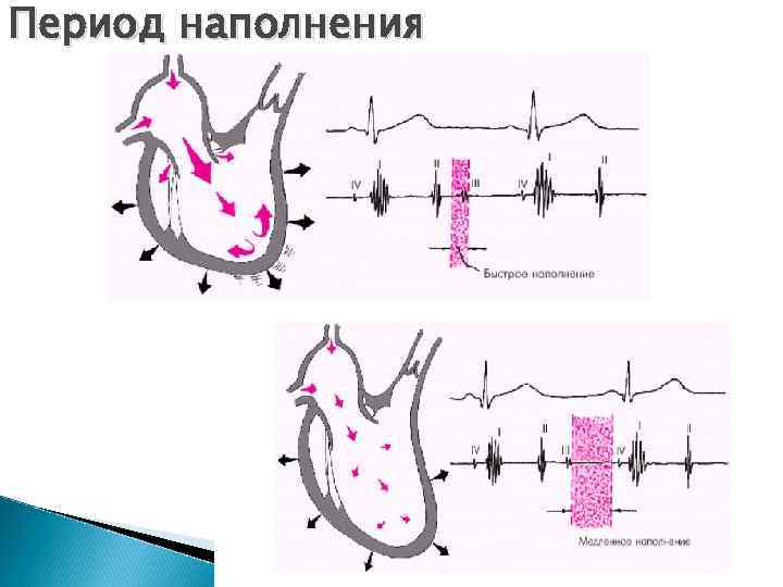 Период наполнения 