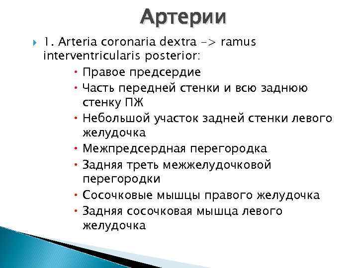 Артерии 1. Arteria coronaria dextra -> ramus interventricularis posterior: Правое предсердие Часть передней стенки