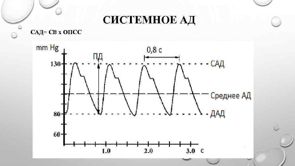 СИСТЕМНОЕ АД САД= СВ х ОПСС 