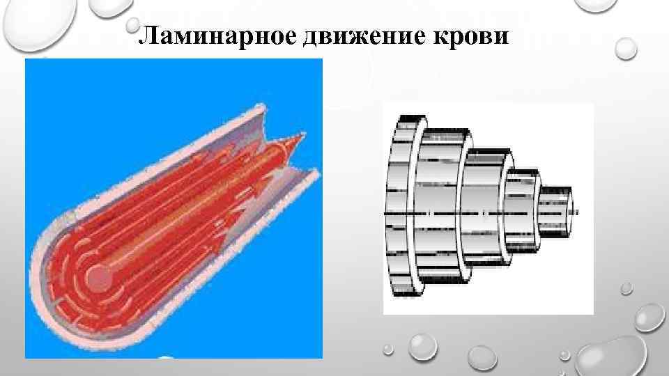 Ламинарное движение крови 