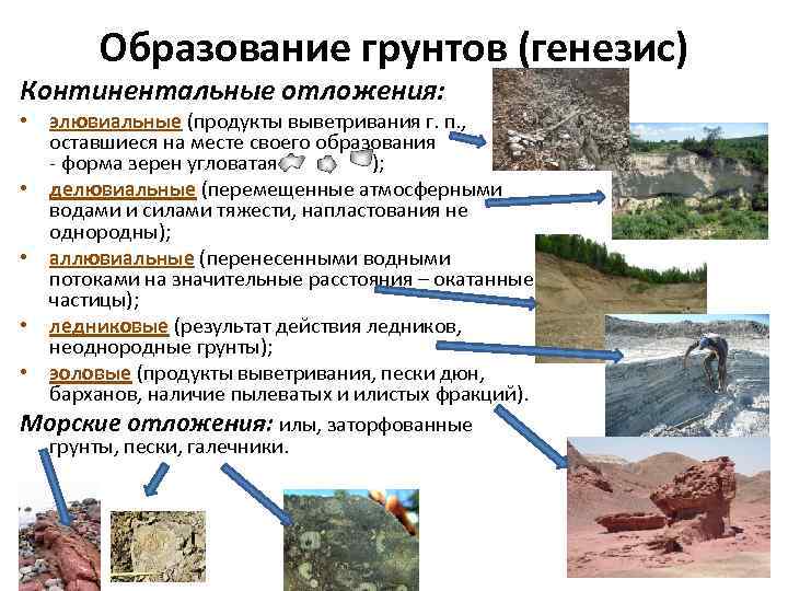 Образование грунтов (генезис) Континентальные отложения: • элювиальные (продукты выветривания г. п. , оставшиеся на