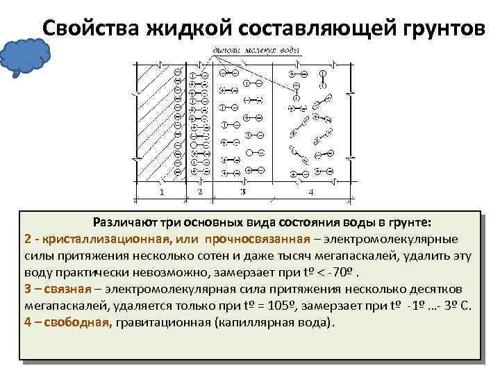  Свойства жидкой составляющей грунтов Различают три основных вида состояния воды в грунте: 2