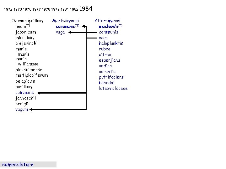 1972 1973 1976 1977 1978 1979 1981 1982 1984 Oceanosprillum linum(T) japonicum minutium biejerinckii