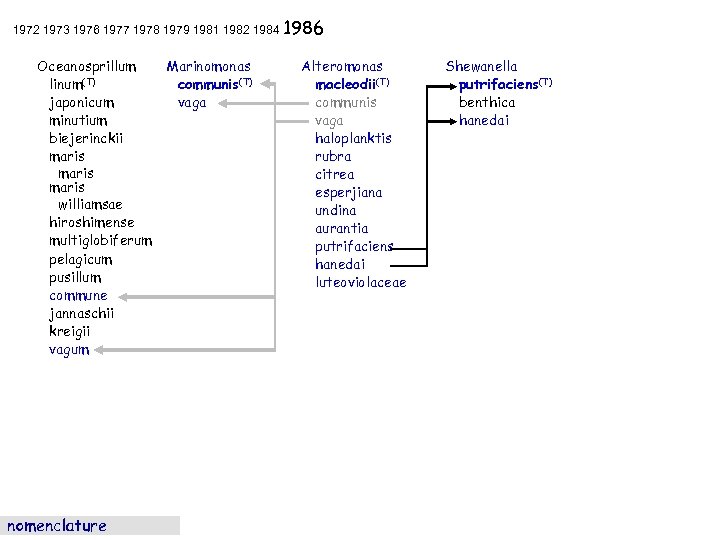 1972 1973 1976 1977 1978 1979 1981 1982 1984 1986 Oceanosprillum linum(T) japonicum minutium