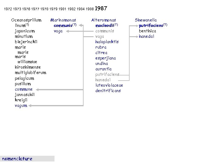 1972 1973 1976 1977 1978 1979 1981 1982 1984 1986 1987 Oceanosprillum linum(T) japonicum