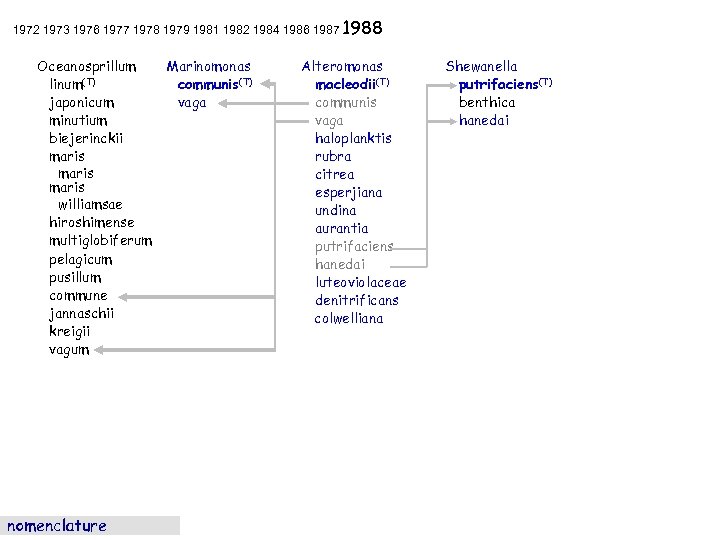 1972 1973 1976 1977 1978 1979 1981 1982 1984 1986 1987 1988 Oceanosprillum linum(T)