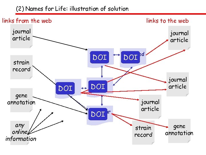 (2) Names for Life: illustration of solution links from the web links to the