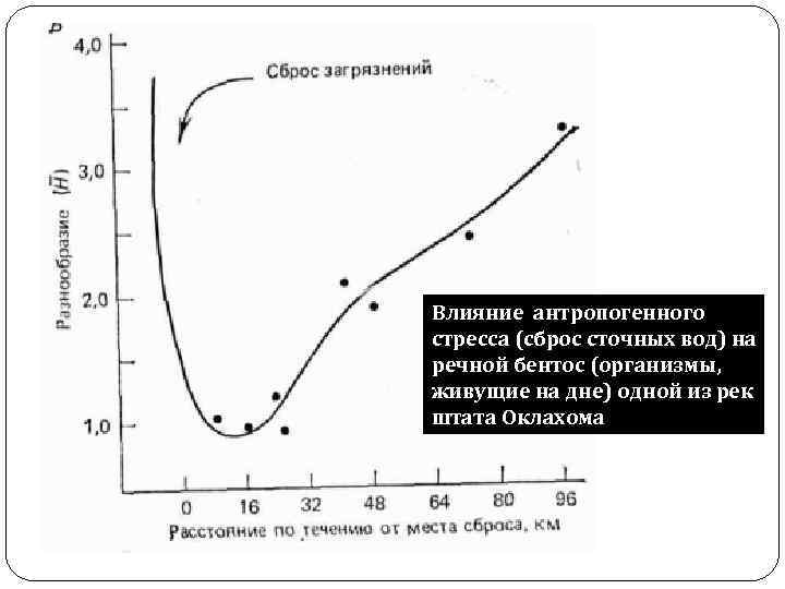 Влияние антропогенного стресса (сброс сточных вод) на речной бентос (организмы, живущие на дне) одной