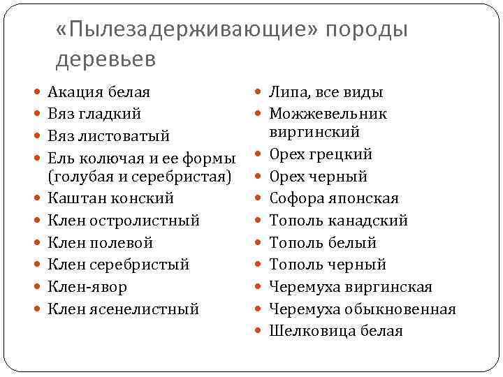  «Пылезадерживающие» породы деревьев Акация белая Липа, все виды Вяз гладкий Можжевельник Вяз листоватый