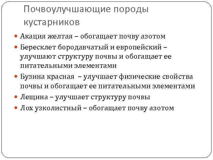 Почвоулучшающие породы кустарников Акация желтая – обогащает почву азотом Бересклет бородавчатый и европейский –
