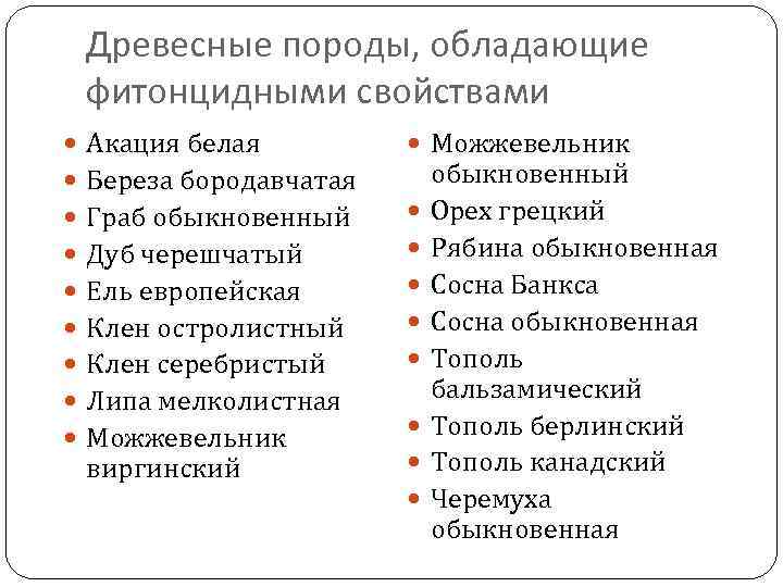 Древесные породы, обладающие фитонцидными свойствами Акация белая Береза бородавчатая Граб обыкновенный Дуб черешчатый Ель