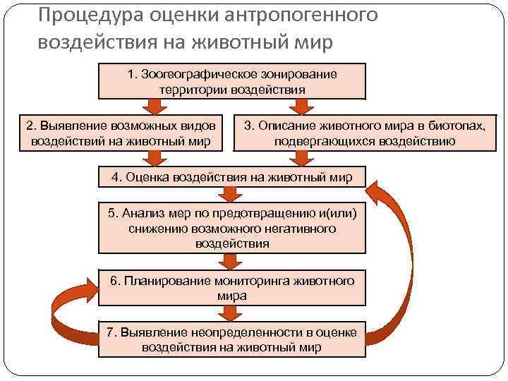 План мероприятий от пагубных последствий хозяйственной деятельности людей по охране природы