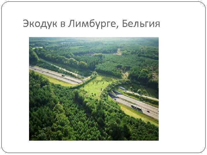 Экодук в Лимбурге, Бельгия 