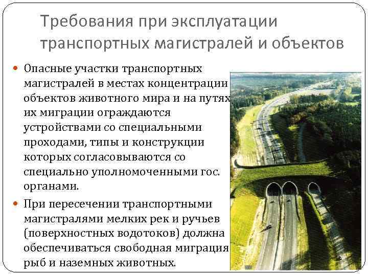 Требования при эксплуатации транспортных магистралей и объектов Опасные участки транспортных магистралей в местах концентрации