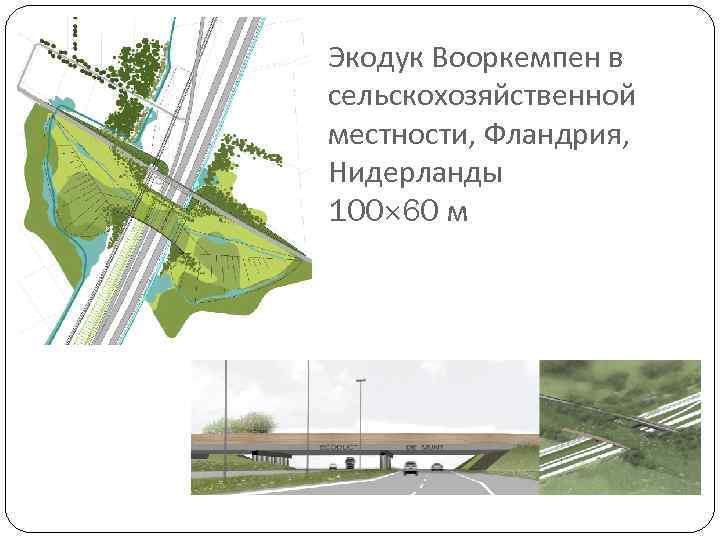Экодук Вооркемпен в сельскохозяйственной местности, Фландрия, Нидерланды 100 60 м 
