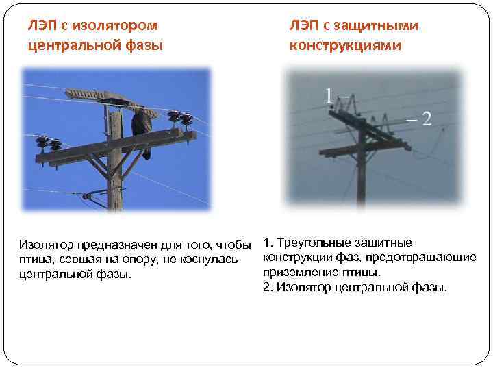 ЛЭП с изолятором центральной фазы ЛЭП с защитными конструкциями Изолятор предназначен для того, чтобы