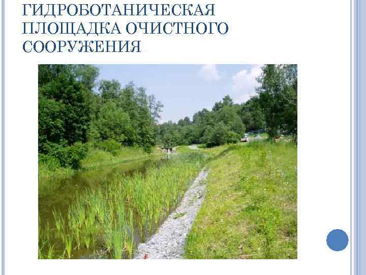 ГИДРОБОТАНИЧЕСКАЯ ПЛОЩАДКА ОЧИСТНОГО СООРУЖЕНИЯ 