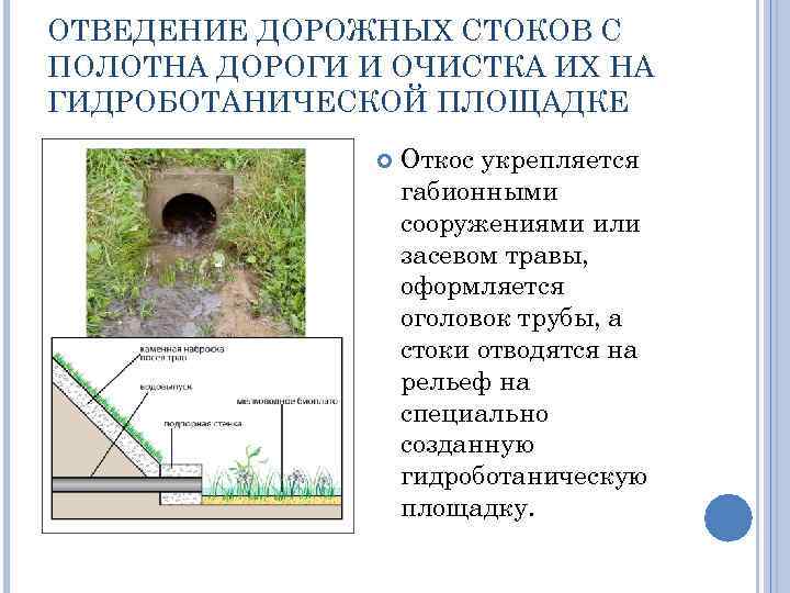 ОТВЕДЕНИЕ ДОРОЖНЫХ СТОКОВ С ПОЛОТНА ДОРОГИ И ОЧИСТКА ИХ НА ГИДРОБОТАНИЧЕСКОЙ ПЛОЩАДКЕ Откос укрепляется