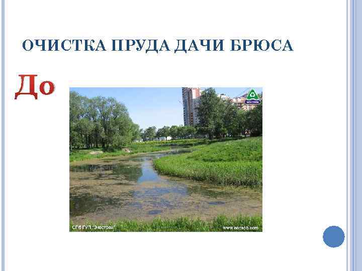 ОЧИСТКА ПРУДА ДАЧИ БРЮСА До 