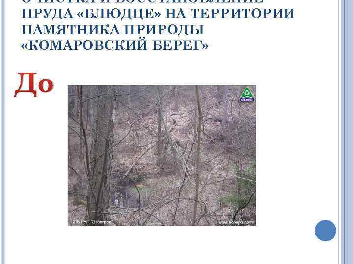 ОЧИСТКА И ВОССТАНОВЛЕНИЕ ПРУДА «БЛЮДЦЕ» НА ТЕРРИТОРИИ ПАМЯТНИКА ПРИРОДЫ «КОМАРОВСКИЙ БЕРЕГ» До 