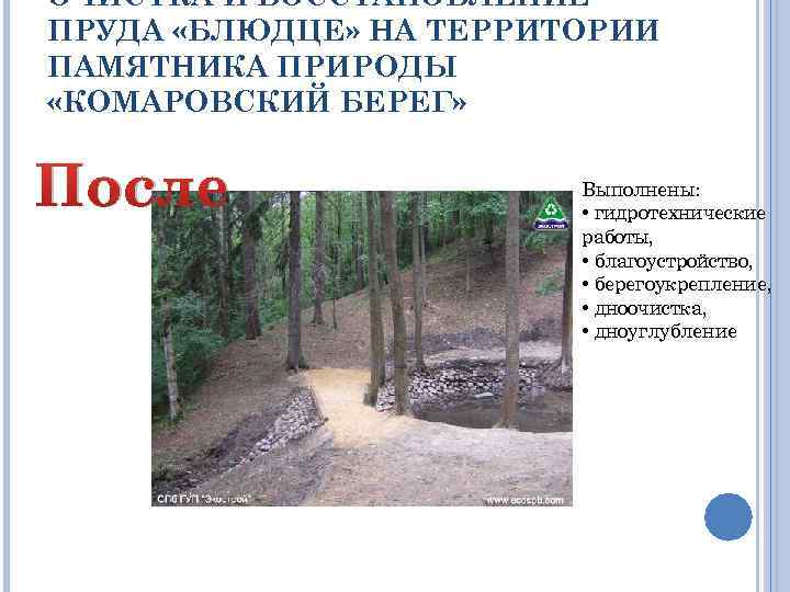 ОЧИСТКА И ВОССТАНОВЛЕНИЕ ПРУДА «БЛЮДЦЕ» НА ТЕРРИТОРИИ ПАМЯТНИКА ПРИРОДЫ «КОМАРОВСКИЙ БЕРЕГ» После Выполнены: •