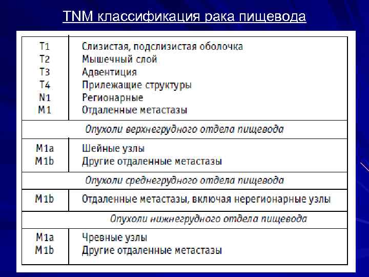 TNM классификация рака пищевода 