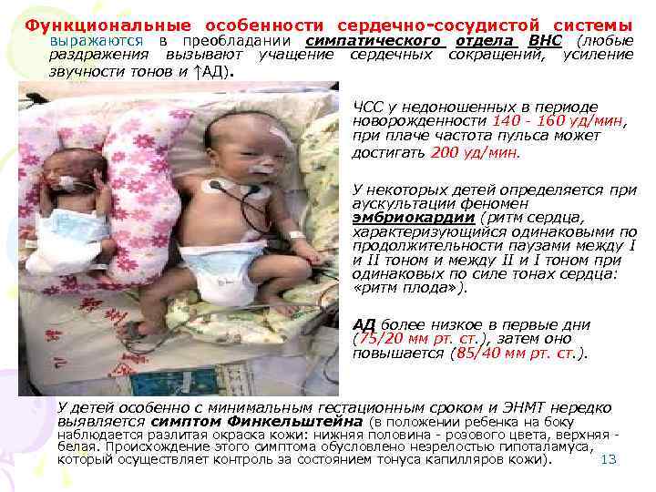 Функциональные особенности сердечно-сосудистой системы выражаются в преобладании симпатического отдела ВНС (любые раздражения вызывают учащение