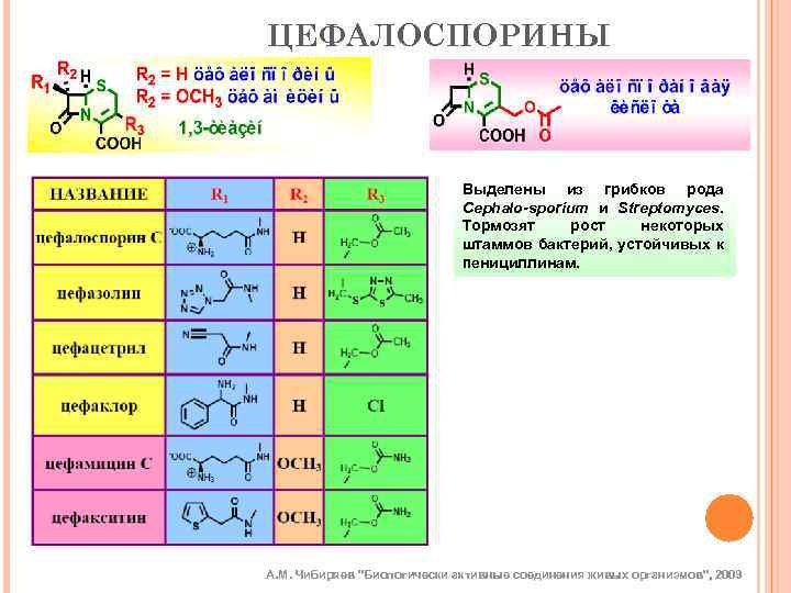 ЦЕФАЛОСПОРИНЫ Выделены из грибков рода Cephalo-sporium и Streptomyces. Тормозят рост некоторых штаммов бактерий, устойчивых