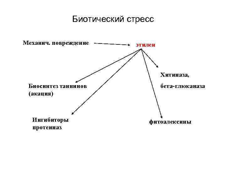 Биотический стресс Механич. повреждение этилен Хитиназа, Биосинтез таннинов (акация) Ингибиторы протеиназ бета-глюканаза фитоалексины 
