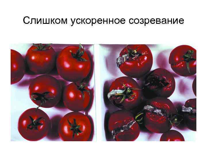 Слишком ускоренное созревание 