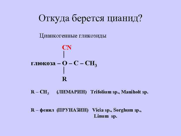 Откуда берется цианид? Цианкогенные гликозиды CN глюкоза – О – C – СН 3
