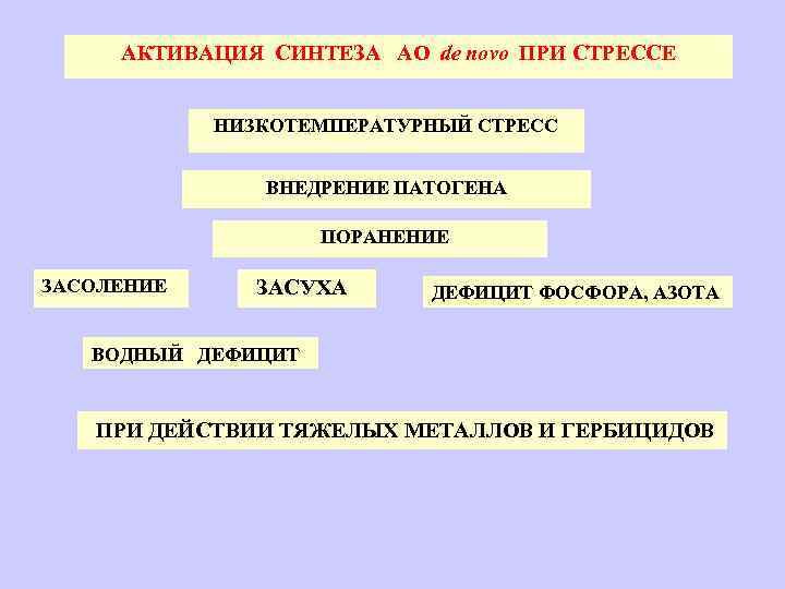 АКТИВАЦИЯ СИНТЕЗА АО de novo ПРИ СТРЕССЕ НИЗКОТЕМПЕРАТУРНЫЙ СТРЕСС ВНЕДРЕНИЕ ПАТОГЕНА ПОРАНЕНИЕ ЗАСОЛЕНИЕ ЗАСУХА