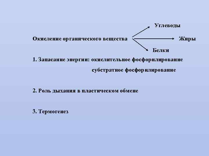 Углеводы Жиры Окисление органического вещества Белки 1. Запасание энергии: окислительное фосфорилирование субстратное фосфорилирование 2.