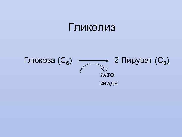 Гликолиз Глюкоза (С 6) 2 Пируват (С 3) 2 АТФ 2 НАДН 