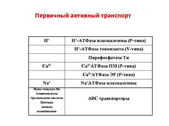 Первичный активный транспорт Н+ Н+-АТФаза плазмалеммы (P-типа) Н+-АТФаза тонопласта (V-типа) Пирофосфатаза Тн Ca 2+