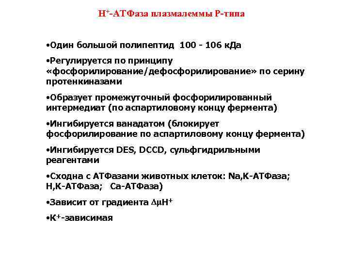 Н+-АТФаза плазмалеммы Р-типа • Один большой полипептид 100 - 106 к. Да • Регулируется