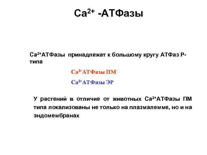 Са 2+ -АТФазы Са 2+АТФазы принадлежат к большому кругу АТФаз Ртипа Са 2+АТФазы ПМ