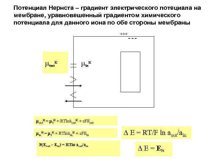 Градиент потенциала поля. Уравнение градиента химического потенциала. Модуль проекции градиента потенциала. Градиент электрического потенциала. Потенциал Нернста для градиента.