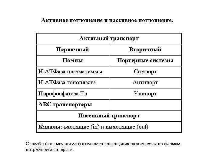 Активное поглощение и пассивное поглощение. Активный транспорт Первичный Вторичный Помпы Портерные системы Н-АТФаза плазмалеммы