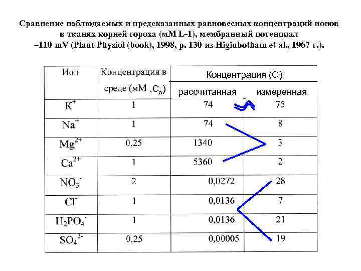 Сравнение наблюдаемых и предсказанных равновесных концентраций ионов в тканях корней гороха (м. М L-1),