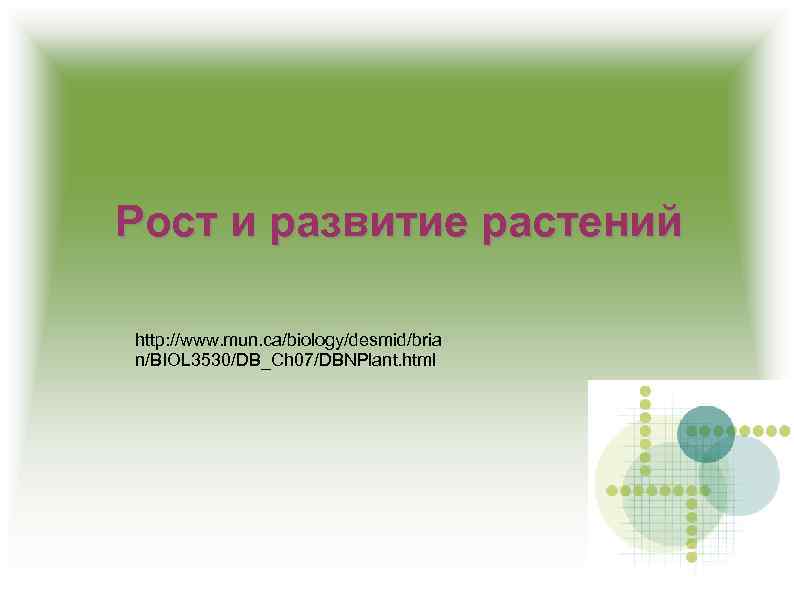 Рост и развитие растений http: //www. mun. ca/biology/desmid/bria n/BIOL 3530/DB_Ch 07/DBNPlant. html 