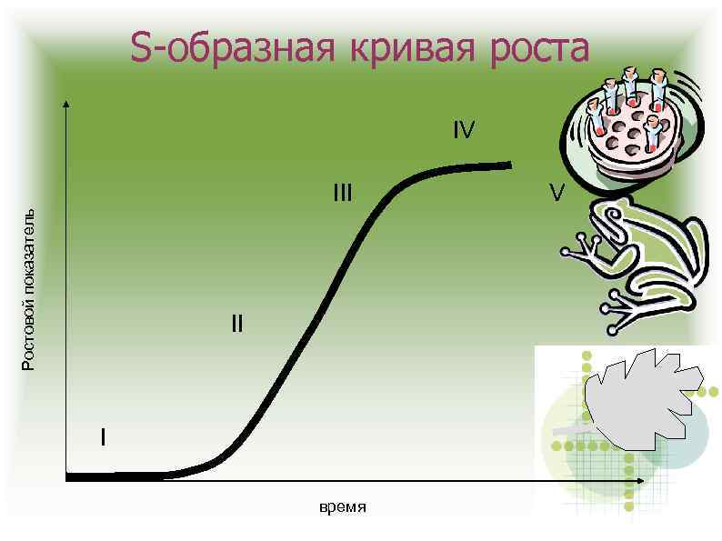 Кривая роста. С образная кривая. S-образные кривые. Логистическая s образная кривая.