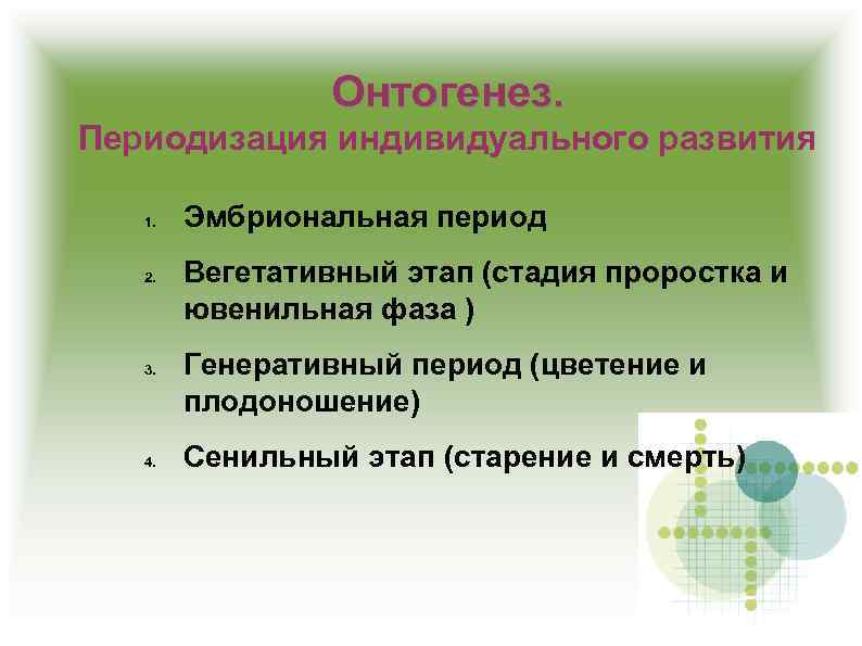 Онтогенез. Периодизация индивидуального развития 1. 2. 3. 4. Эмбриональная период Вегетативный этап (стадия проростка