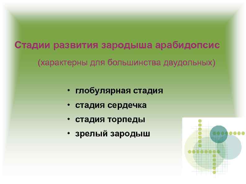 Стадии развития зародыша арабидопсис (характерны для большинства двудольных) • глобулярная стадия • стадия сердечка