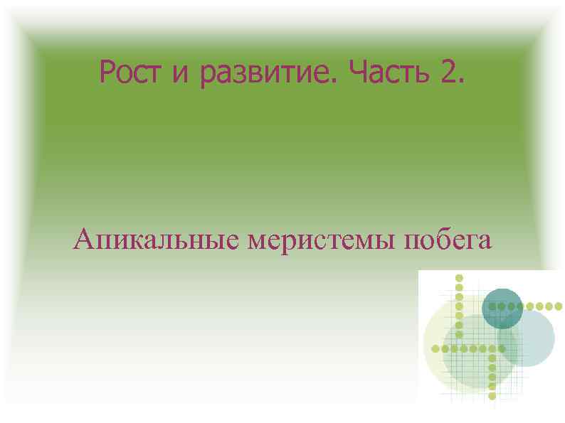 Рост и развитие. Часть 2. Апикальные меристемы побега 