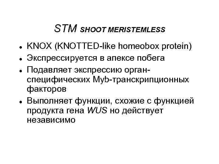 STM SHOOT MERISTEMLESS KNOX (KNOTTED-like homeobox protein) Экспрессируется в апексе побега Подавляет экспрессию органспецифических