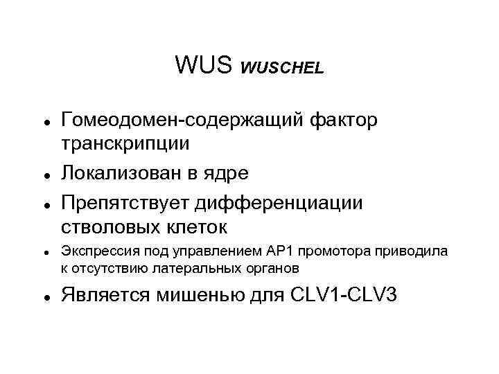 WUS WUSCHEL Гомеодомен-содержащий фактор транскрипции Локализован в ядре Препятствует дифференциации стволовых клеток Экспрессия под
