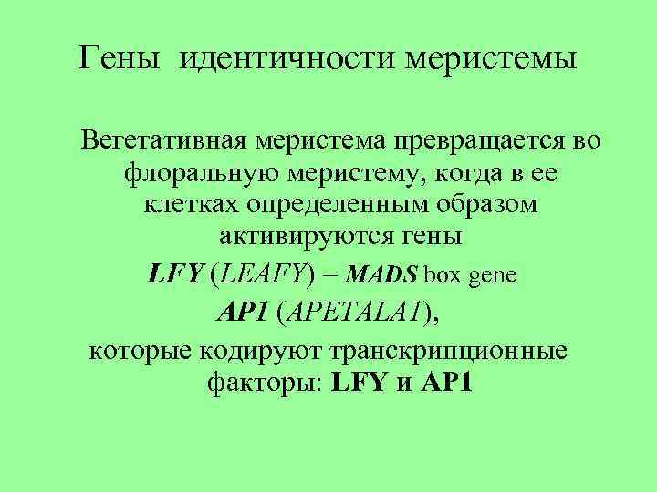 Гены идентичности меристемы Вегетативная меристема превращается во флоральную меристему, когда в ее клетках определенным