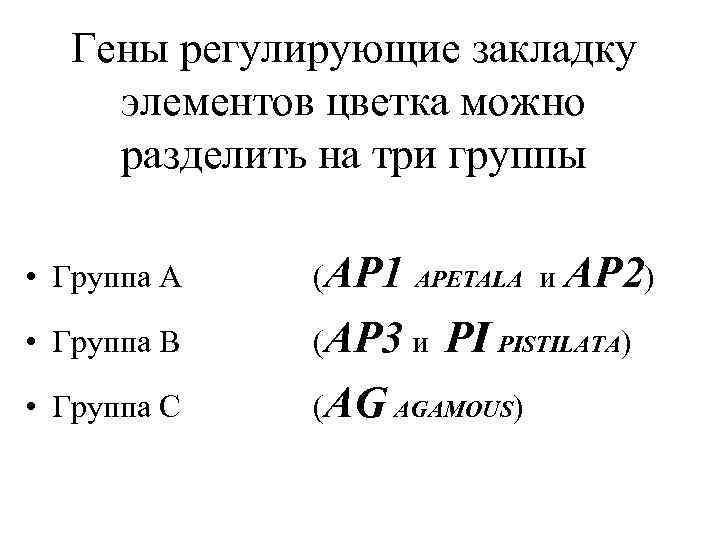 Гены регулирующие закладку элементов цветка можно разделить на три группы • Группа А (AP