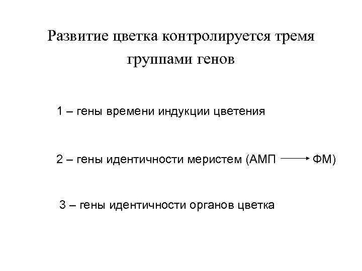 Развитие цветка контролируется тремя группами генов 1 – гены времени индукции цветения 2 –